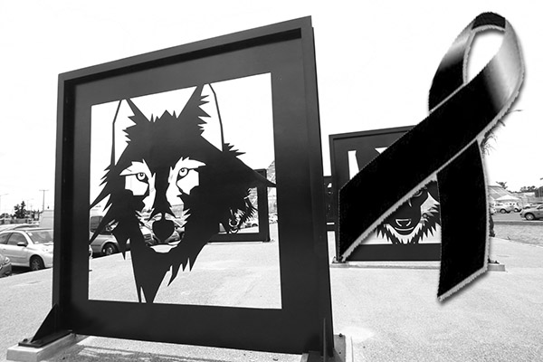 Lobos BUAP… crónica de una muerte prematura