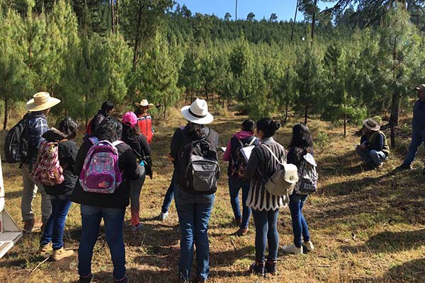 Gestión Territorial e Identidad Biocultural, licenciatura innovadora