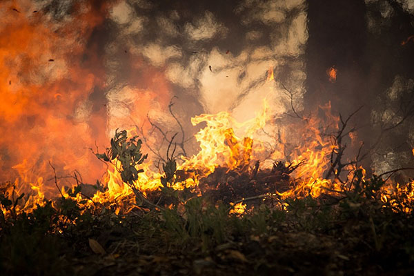 Amazonía en llamas: el incendio en la selva brasileña causa conmoción en Twitter (fotos)