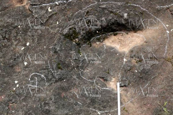Encuentran huellas de dinosaurio de hace 100 millones de años