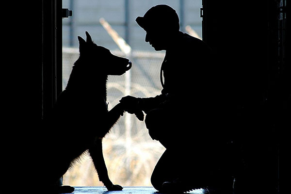 Estas son las verdaderas razones por las que nos lamen los perros