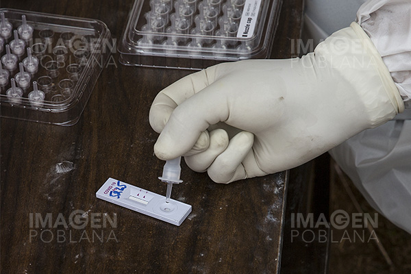 Los hallazgos sobre el virus SARS-CoV-2 hasta octubre 2020